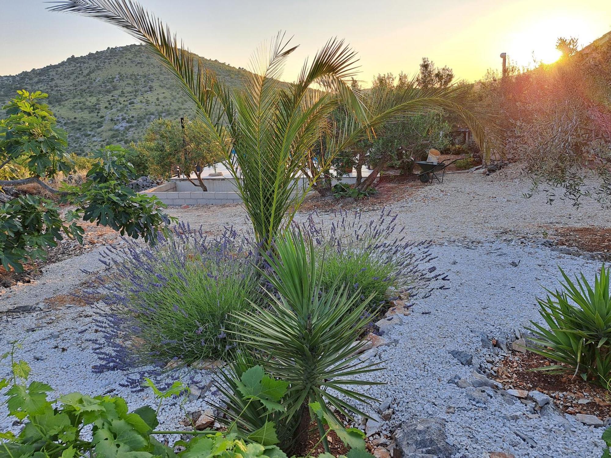 Villa Casa Mia Gornji Seget Εξωτερικό φωτογραφία